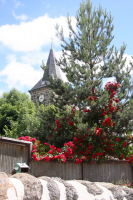 dans le village