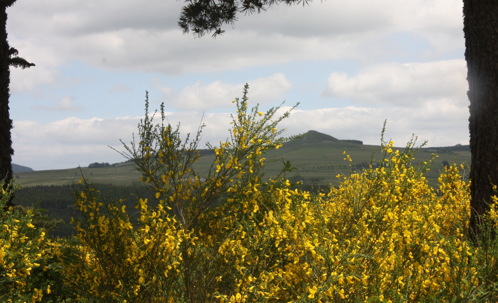 sentier de découverte au départ de moudeyres